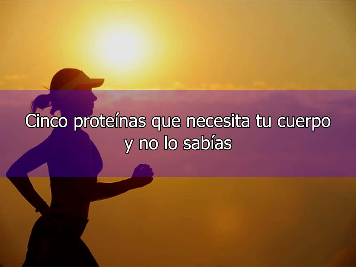 Cinco proteínas que necesita tu cuerpo y no lo sabías